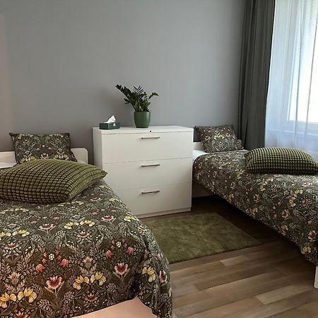 Apartman V Samorine Daire Dış mekan fotoğraf