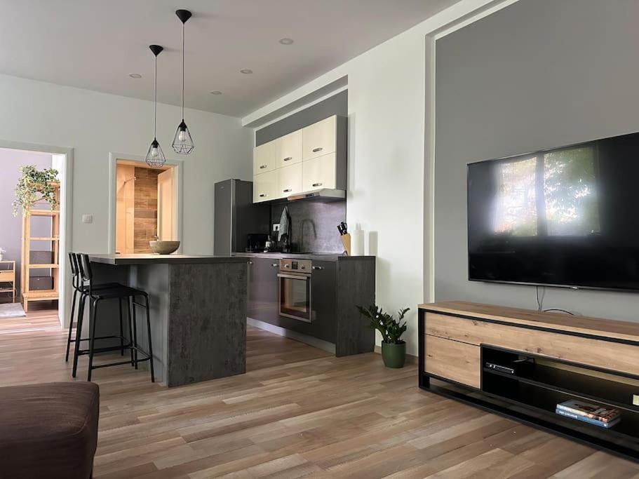 Apartman V Samorine Daire Dış mekan fotoğraf