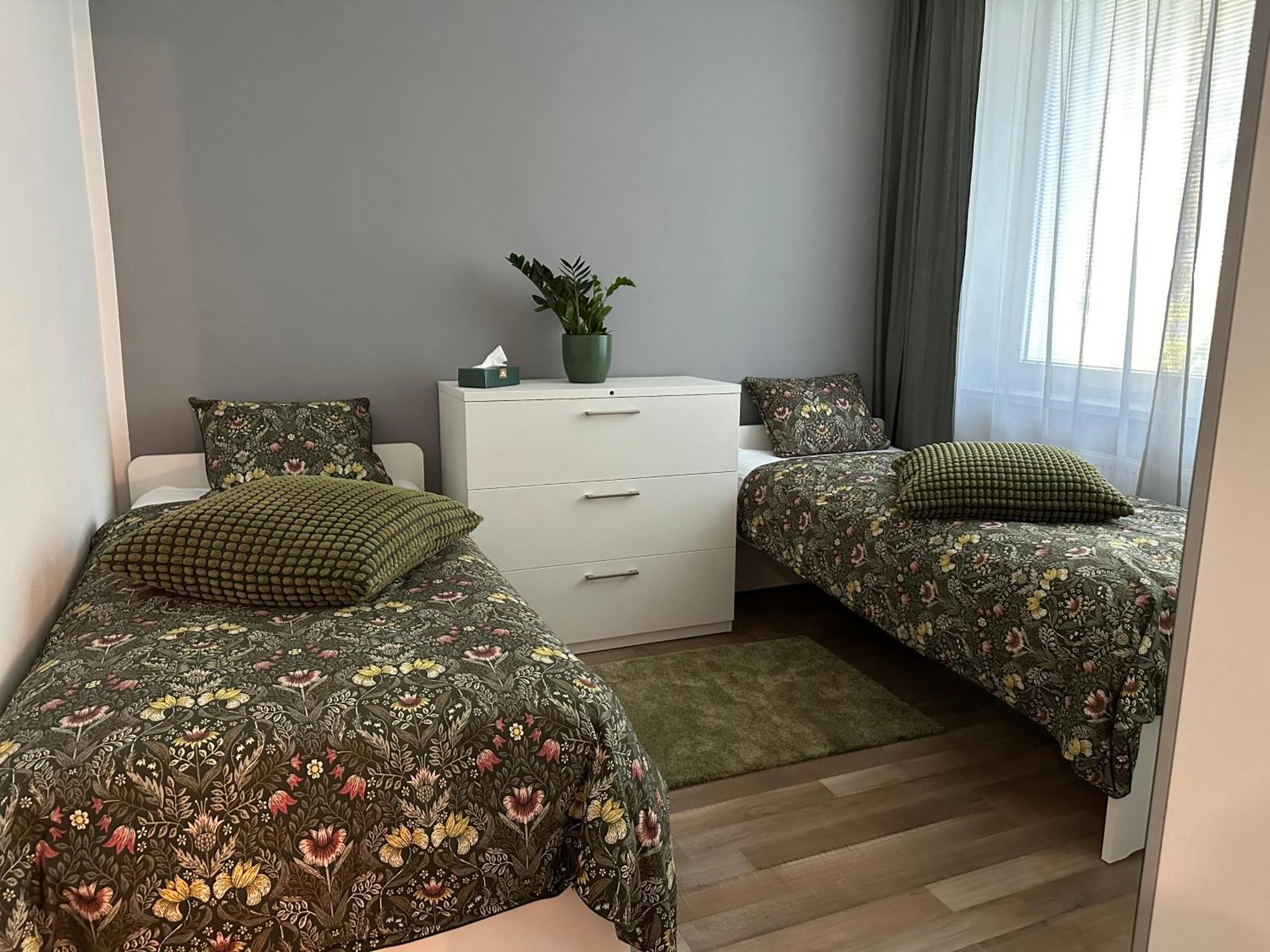 Apartman V Samorine Daire Dış mekan fotoğraf